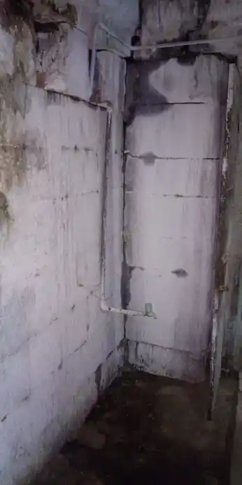 Arulmigu Vilwanathar Temple, Pathamadai - 627416