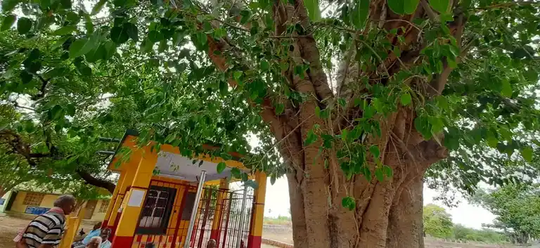 Arulmigu Vinaithirtha Vinayagar Temple, Idaiseval-I - 628503 அருள்மிகு வினைதீர்த்த விநாயகர் திருக்கோயில், Idaiseval-I - 628503, Thoothukudi - Ancient Temple Architecture and History Image 5