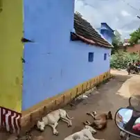 Arulmigu Vinaithirtha Vinayagar Temple, W. Puthupatti - 626116 அருள்மிகு விநாயகர் திருக்கோயில், வ. புதுப்பட்டி - 626116, Virudhunagar - Ancient Temple Architecture and History Image 2