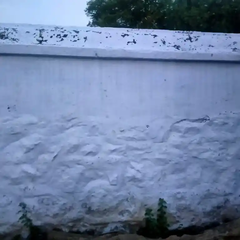 Arulmigu Vinayagar And Kannimar Temple, Koyalampatti - 624617 அருள்மிகு விநாயகர் மற்றும் கன்னிமார் திருக்கோயில், Koyalampatti - 624617, Dindigul - Ancient Temple Architecture and History Image 4