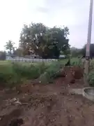 Arulmigu Vinayagar ,Ayyanar & Pidari Temple, Puivalam - 621006