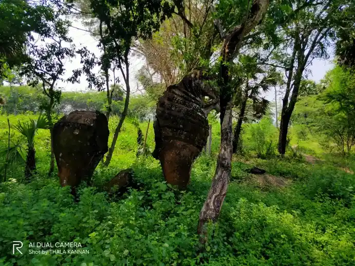 Arulmigu Vinayagar, Ayynar, Veera Anjaneyar Temple, Settikattalai - 608304 அருள்மிகு விநாயகர்,அய்யனார், வீரஆஞ்சநேயர் திருக்கோயில், Settikattalai - 608304, Cuddalore - Ancient Temple Architecture and History Image 9