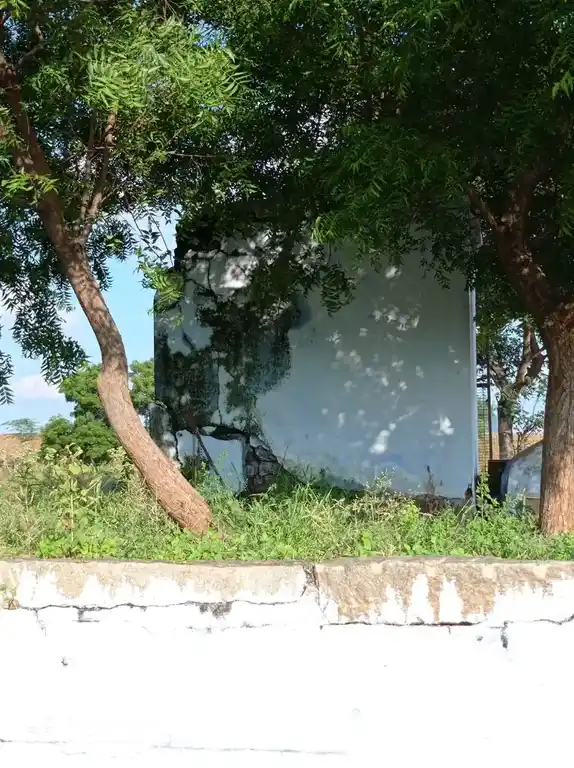 Arulmigu Vinayagar Chellandiamman Temple, Kariyampatti - 624616