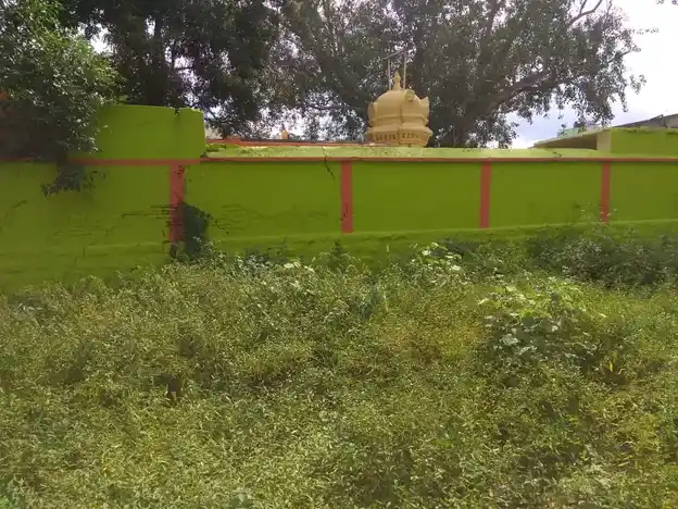 Arulmigu Vinayagar, Gangaiamman Temple, Veera Reddy Palayam - 632107 அருள்மிகு விநாயகர் கங்கையம்மன் திருக்கோயில், வீரரெட்டி பாளையம் - 632107, Vellore - Ancient Temple Architecture and History Image 5