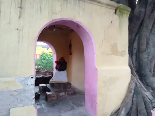 Arulmigu Vinayagar Karupannansamy Temple, Pollachi - 642001