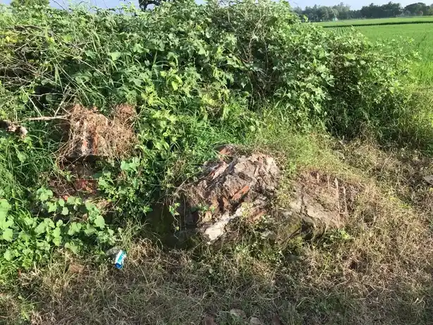 Arulmigu Vinayagar, Pidari, Ayyanar Temple, Sirukattur - 608304 அருள்மிகு விநாயகர் பிடாரி அய்யனார் திருக்கோயில், Sirukattur - 608304, Cuddalore - Ancient Temple Architecture and History Image 5