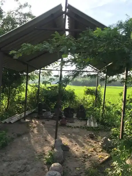 Arulmigu Vinayagar, Pidari, Ayyanar Temple, Sirukattur - 608304 அருள்மிகு விநாயகர் பிடாரி அய்யனார் திருக்கோயில், Sirukattur - 608304, Cuddalore - Ancient Temple Architecture and History Image 7