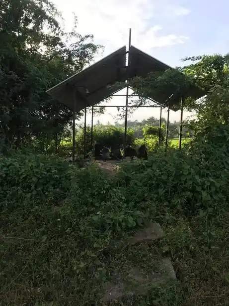 Arulmigu Vinayagar, Pidari, Ayyanar Temple, Sirukattur - 608304 அருள்மிகு விநாயகர் பிடாரி அய்யனார் திருக்கோயில், Sirukattur - 608304, Cuddalore - Ancient Temple Architecture and History Image 8