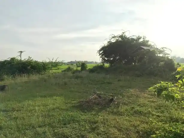 Arulmigu Vinayagar, Pidari, Ayyanar Temple, Sirukattur - 608304 அருள்மிகு விநாயகர் பிடாரி அய்யனார் திருக்கோயில், Sirukattur - 608304, Cuddalore - Ancient Temple Architecture and History Image 9