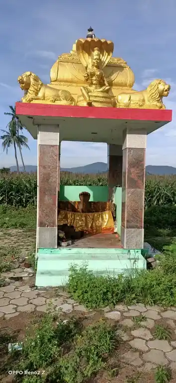 Arulmigu Vinayagar Pidariamman Temple, Pungavadi - 636141