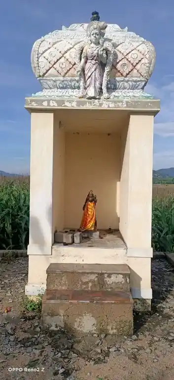 Arulmigu Vinayagar Pidariamman Temple, Pungavadi - 636141 அருள்மிகு விநாயகர், பிடாரியம்மன் திருக்கோயில், Pungavadi - 636141, Salem - Ancient Temple Architecture and History Image 2