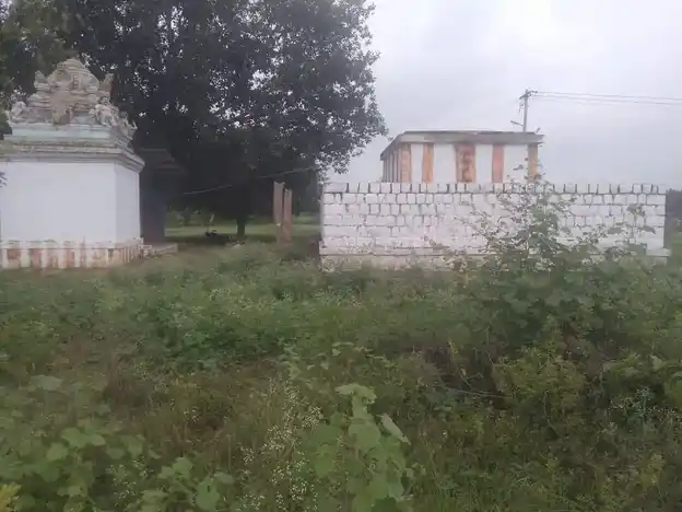 Arulmigu Vinayagar Senthamaraikan Perumal Temple, Kanjanayakkam Patti, Kanjanayakkam Patti - 621310 Arulmigu Vinayagar Senthamaraikan Perumal Temple, Kanjanayakkam Patti, Kanjanayakkam Patti - 621310, Thiruchirappalli - Ancient Temple Architecture and History Image 4