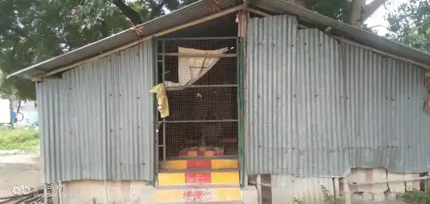 Arulmigu Vinayagar Temple, Adhaiyur - 607201 Arulmigu Vinayagar Temple, Adhaiyur - 607201, Kallakurichi - Ancient Temple Architecture and History Image 2