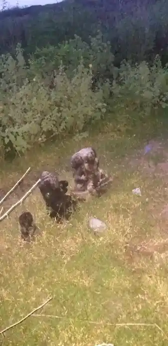 Arulmigu Vinayagar Temple, Alagusirai - 625704 அருள்மிகு விநாயகர் திருக்கோயில், Alagusirai - 625704, Madurai - Ancient Temple Architecture and History Image 3