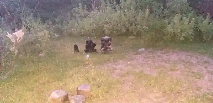 Arulmigu Vinayagar Temple, Alagusirai - 625704 அருள்மிகு விநாயகர் திருக்கோயில், Alagusirai - 625704, Madurai - Ancient Temple Architecture and History Image 4