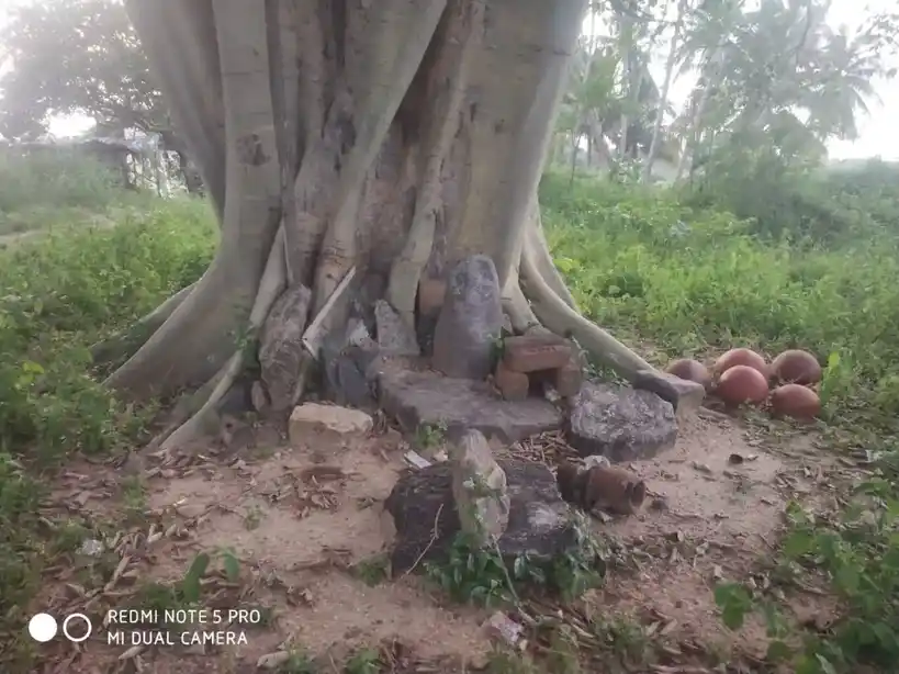 Arulmigu Vinayagar Temple, Alampadi - 624620 அருள்மிகு விநாயகர் கோயில், ஆலம்பாடி - 624620, Dindigul - Ancient Temple Architecture and History Image 4