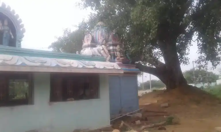 Arulmigu Vinayagar Temple, Ammanpettai - 622304 அருள்மிகு விநாயகர் திருக்கோயில், அம்மன்பேட்டை - 622304, Pudukkottai - Ancient Temple Architecture and History Image 3