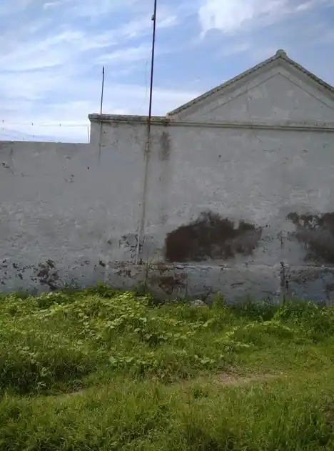 Arulmigu Vinayagar Temple, Arthanaripalayam, Chennimalai - 638051 Arulmigu Vinayagar Temple, Arthanaripalayam, Chennimalai - 638051, Erode - Ancient Temple Architecture and History Image 2