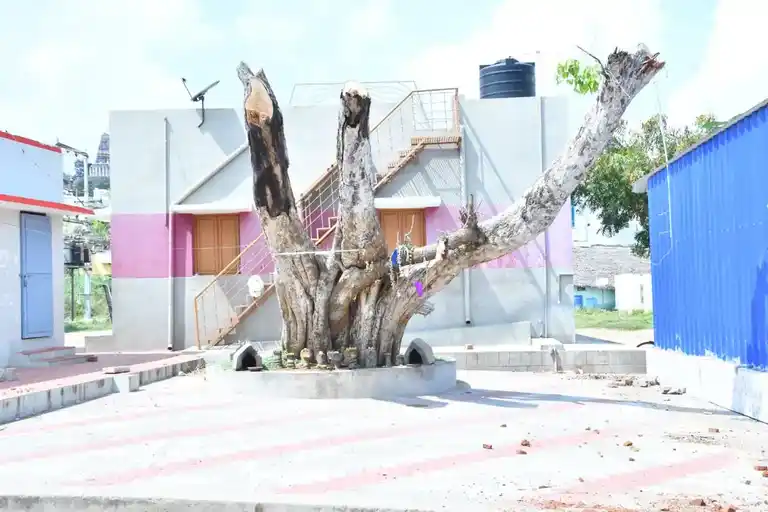 Arulmigu Vinayagar Temple, Atthippallam - 621316 அருள்மிகு விநாயகர் திருக்கோயில், அத்திப்பள்ளம் - 621316, Pudukkottai - Ancient Temple Architecture and History Image 6