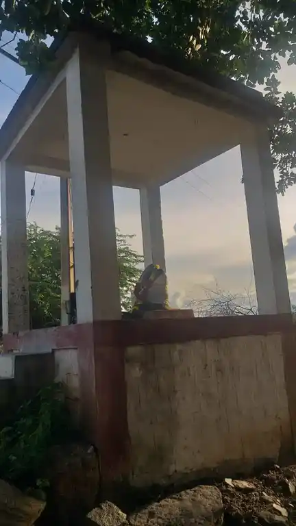 Arulmigu Vinayagar Temple, Ayanmettupatti - 625532 அருள்மிகு விநாயகர் திருக்கோயில், Ayanmettupatti - 625532, Madurai - Ancient Temple Architecture and History Image 4