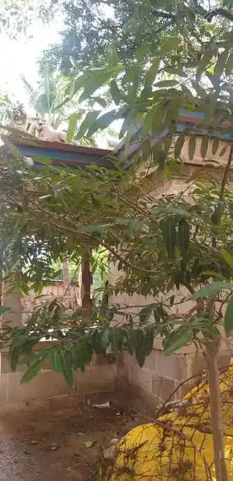 Arulmigu Vinayagar Temple, Ayyanarkulam - 625537 அருள்மிகு விநாயகர் திருக்கோயில், Ayyanarkulam - 625537, Madurai - Ancient Temple Architecture and History Image 4