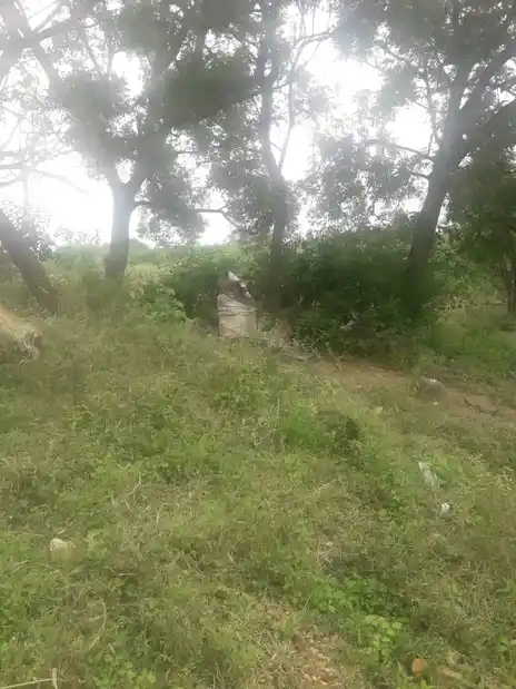 Arulmigu Vinayagar Temple, Ayyur - 625501 விநாயகர் திருக்கோயில், Ayyur - 625501, Madurai - Ancient Temple Architecture and History Image 5