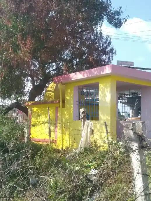 Arulmigu Vinayagar Temple, Balakrishnapuram, Dindigul - 624005 அருள்மிகு விநாயகர் திருக்கோயில், பால கிருஷ்ணாபுரம், திண்டுக்கல் - 624005, Dindigul - Ancient Temple Architecture and History Image 4