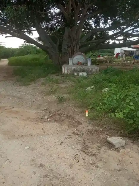 Arulmigu Vinayagar Temple, Bodipatty - 624703 அருள்மிகு விநாயகர் திருக்கோயில், Bodipatty - 624703, Dindigul - Ancient Temple Architecture and History Image 2