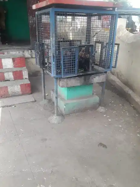 Arulmigu Vinayagar Temple, Cellampatti - 625566 விநாயகர் திருக்கோயில், Cellampatti - 625566, Madurai - Ancient Temple Architecture and History Image 5