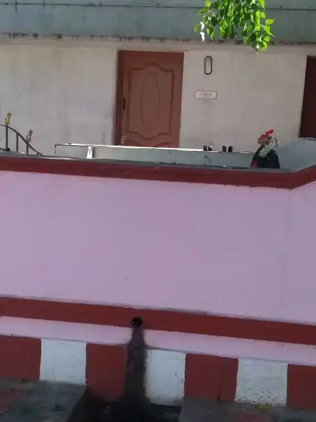 Arulmigu Vinayagar Temple, Chinnakalaiyamputhur - 624615 அருள்மிகு விநாயகர் திருக்கோயில், Chinnakalaiyamputhur - 624615, Dindigul - Ancient Temple Architecture and History Image 4