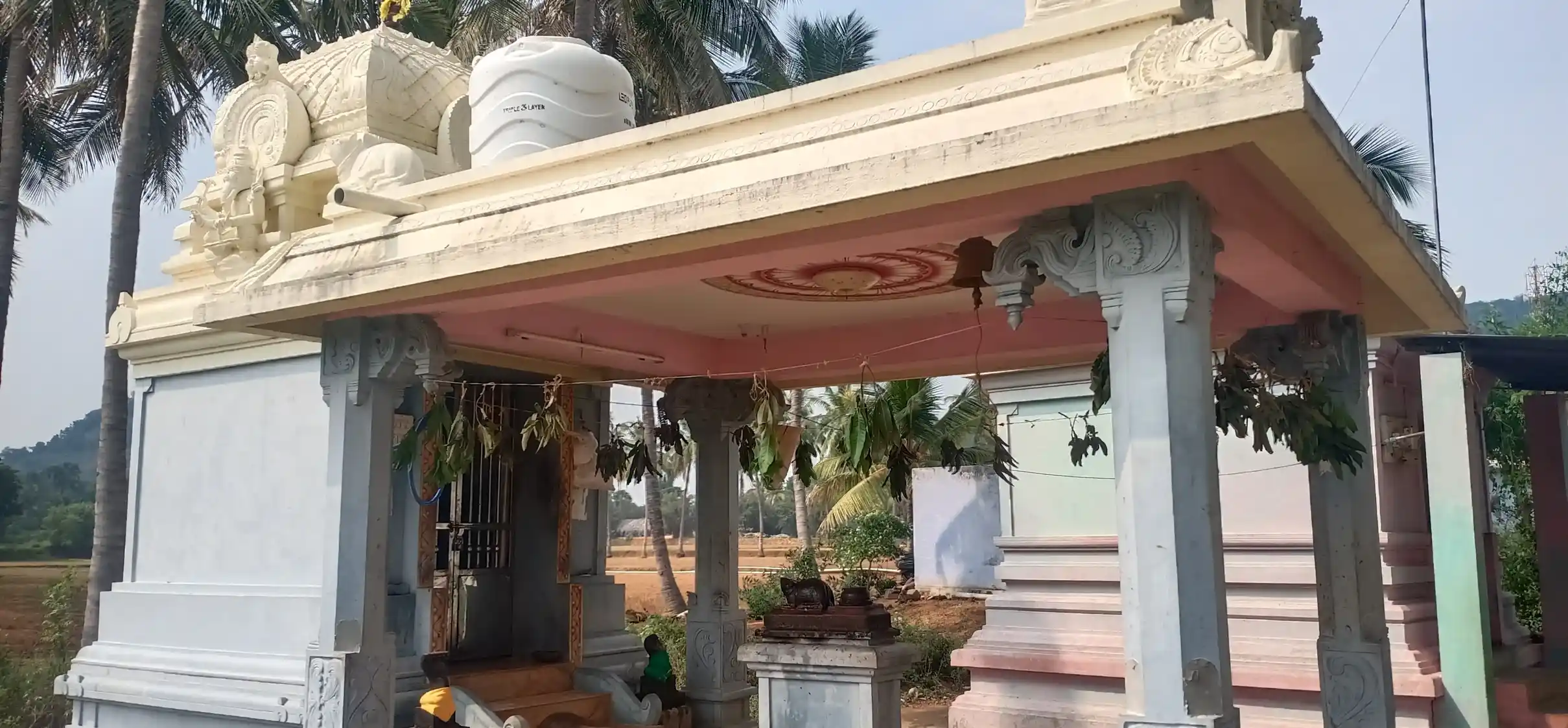 Arulmigu Vinayagar Temple, Dasaripatti - 624620 அருள்மிகு விநாயகர் திருக்கோயில், Dasaripatti - 624620, Dindigul - Ancient Temple Architecture and History Image 3