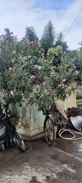 Arulmigu Vinayagar Temple, Emapper - 606202 அருள்மிகு விநாயகர் திருக்கோயில், Emapper - 606202, Kallakurichi - Ancient Temple Architecture and History Image 2