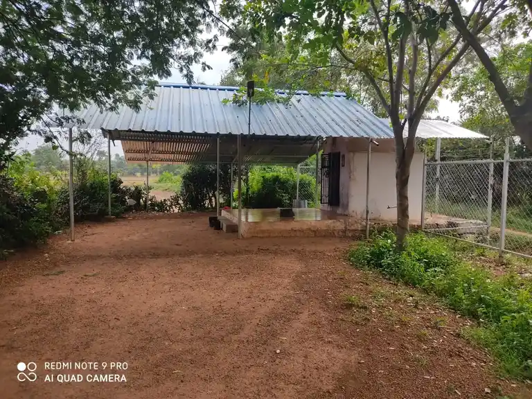 Arulmigu Vinayagar Temple, Ilaiyur - 621806