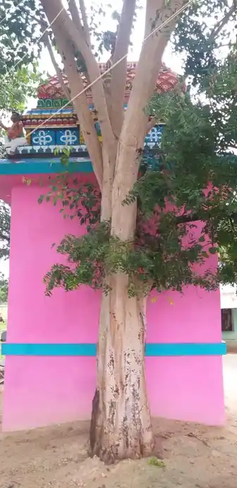 Arulmigu Vinayagar Temple, Jothimanikkam - 625514 அருள்மிகு. விநாயகர் திருக்கோயில், Jothimanikkam - 625514, Madurai - Ancient Temple Architecture and History Image 4