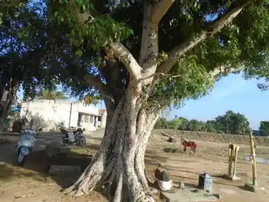 Arulmigu Vinayagar Temple, Kadavaakkottai - 614621 Arulmigu Vinayagar Temple, Kadavaakkottai - 614621, Pudukkottai - Ancient Temple Architecture and History Image 3