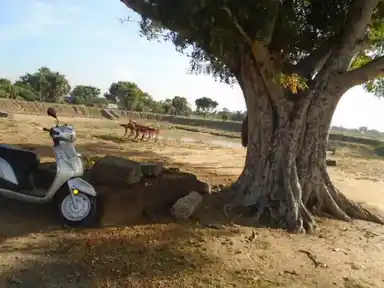 Arulmigu Vinayagar Temple, Kadavaakkottai - 614621 Arulmigu Vinayagar Temple, Kadavaakkottai - 614621, Pudukkottai - Ancient Temple Architecture and History Image 5