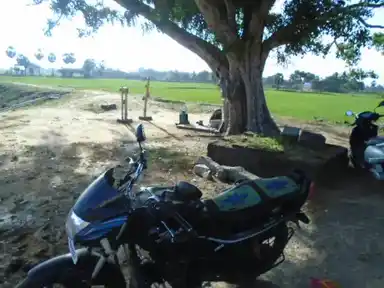 Arulmigu Vinayagar Temple, Kadavaakkottai - 614621 Arulmigu Vinayagar Temple, Kadavaakkottai - 614621, Pudukkottai - Ancient Temple Architecture and History Image 7