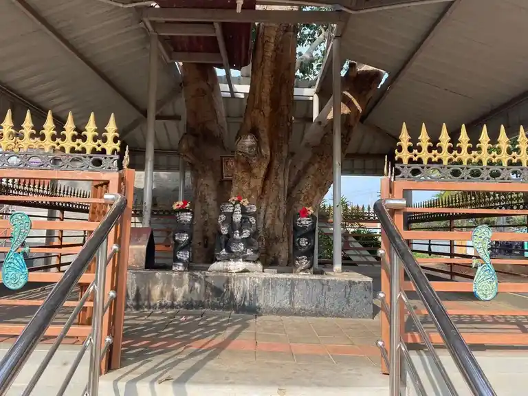 Arulmigu Vinayagar Temple, Kallipalayam - 641005 அருள்மிகு விநாயகர் திருக்கோயில், Kallipalayam - 641005, Coimbatore - Ancient Temple Architecture and History Image 2