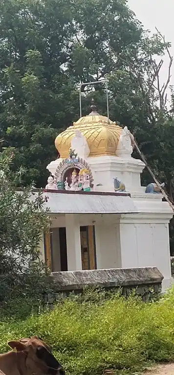 Arulmigu Vinayagar Temple, Kalpattu - 605302 அருள்மிகு விநாயகர், தண்டபாணி திருக்கோயில், Kalpattu - 605302, Viluppuram - Ancient Temple Architecture and History Image 5