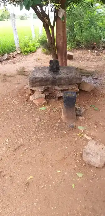 Arulmigu Vinayagar Temple, Kanniyampatti - 625532 அருள்மிகு விநாயகர் திருக்கோயில், Kanniyampatti - 625532, Madurai - Ancient Temple Architecture and History Image 5