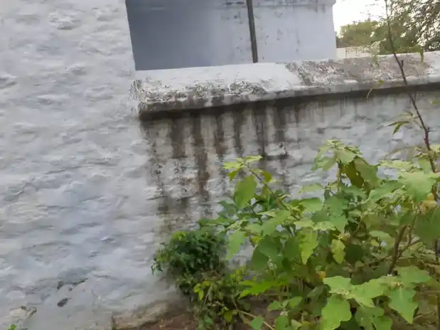 Arulmigu Vinayagar Temple, Kattupalayam - 638104 Temple