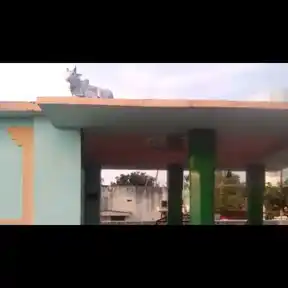 Arulmigu Vinayagar Temple, Keelapatti - 621006 Arulmigu Vinayagar Temple, Keelapatti, Keelapatti - 621006, Thiruchirappalli - Ancient Temple Architecture and History Image 3