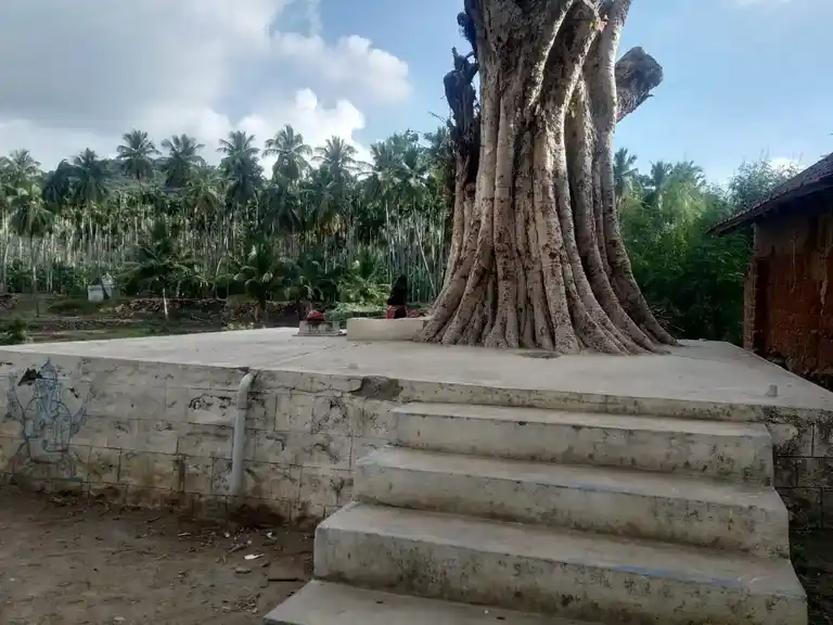 Arulmigu Vinayagar Temple, Kudamalai - 636105