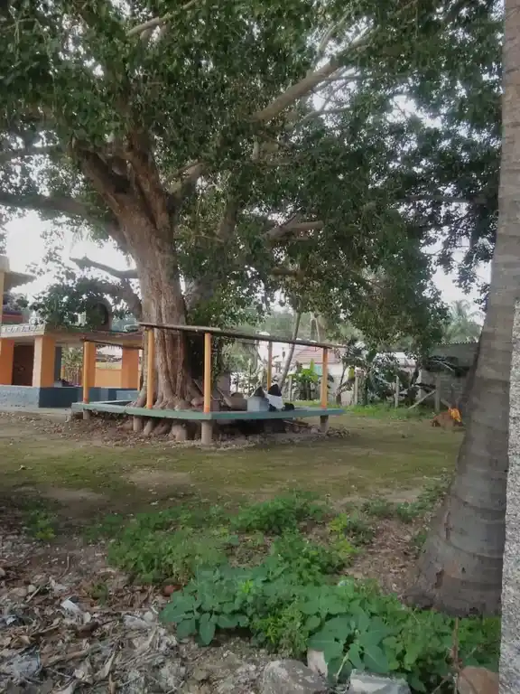 Arulmigu Vinayagar Temple, Kumarapalyam - 641669 அருள்மிகு விநாயகர் த்ருக்கோயில். குமாரபாளையம் கோவை மாவட்டம் கோயில், Kumarapalyam - 641669, Coimbatore - Ancient Temple Architecture and History Image 2