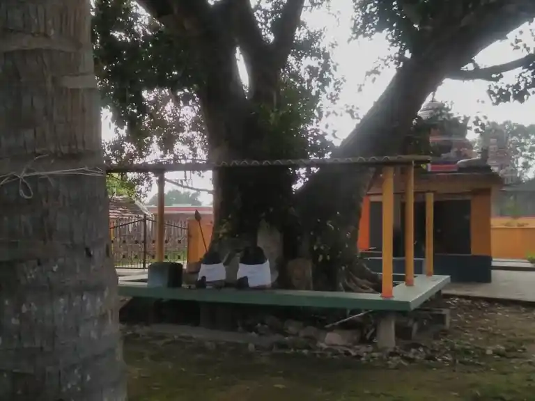 Arulmigu Vinayagar Temple, Kumarapalyam - 641669 அருள்மிகு விநாயகர் த்ருக்கோயில். குமாரபாளையம் கோவை மாவட்டம் கோயில், Kumarapalyam - 641669, Coimbatore - Ancient Temple Architecture and History Image 3