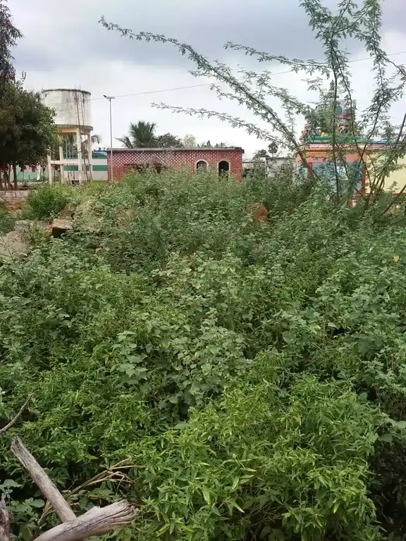 Arulmigu Vinayagar Temple, Kuppanarpatti - 621306 Temple