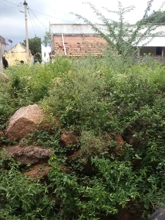 Arulmigu Vinayagar Temple, Kuppanarpatti - 621306 Arulmigu Vinayagar Temple, Kuppanarpatti - 621306, Thiruchirappalli - Ancient Temple Architecture and History Image 3