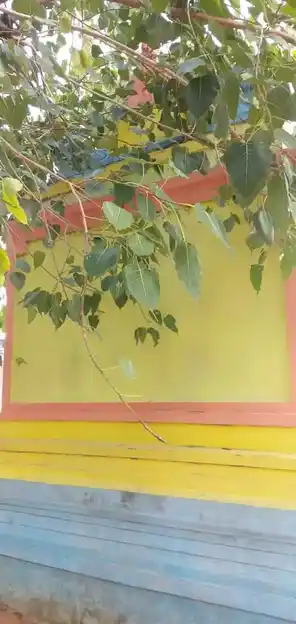 Arulmigu Vinayagar Temple, Kurukkalaiyapatti - 622104 அருள்மிகு விநாயகர் திருக்கோயில், Kurukkalaiyapatti - 622104, Pudukkottai - Ancient Temple Architecture and History Image 4