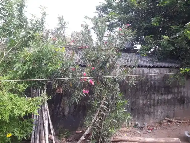 Arulmigu Vinayagar Temple, Manjamedu - 621715 அருள்மிகு விநாயகர் திருக்கோயில், Manjamedu - 621715, Ariyalur - Ancient Temple Architecture and History Image 4