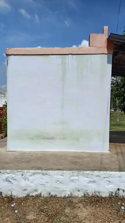 Arulmigu Vinayagar Temple, Mettuvavi, Mettuvavi - 642202 அருள்மிகு விநாயகா் திருக்கோயில், மெட்டுவாவி, கிணத்துக்கடவு வட்டம், மெட்டுவாவி, மெட்டுவாவி - 642202, Coimbatore - Ancient Temple Architecture and History Image 4